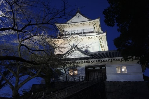 小田原城で春の桜をライトアップ、光に染まる夜桜と天守閣を楽しむの画像