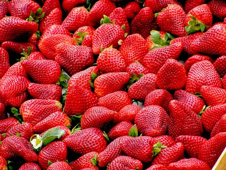 4種類の苺の食べ比べができる「いちご狩り」の画像